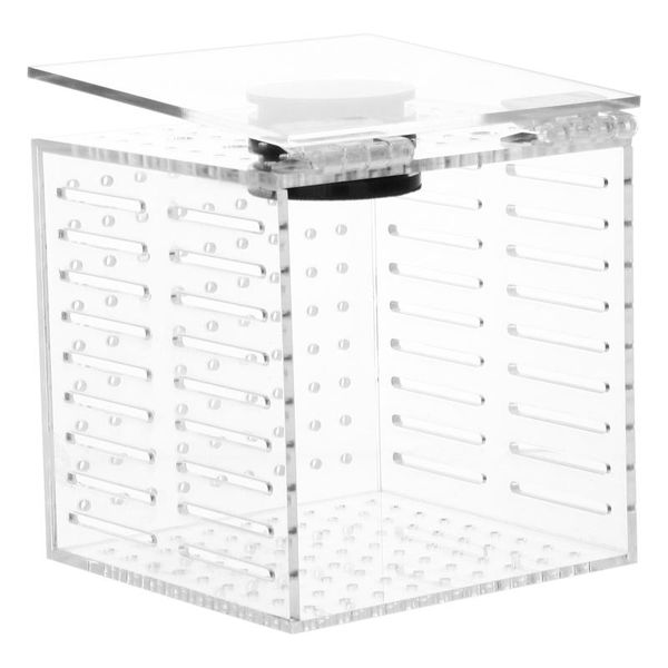 

aquariums 1pc fish isolation box tank ovipositor small hatching holder