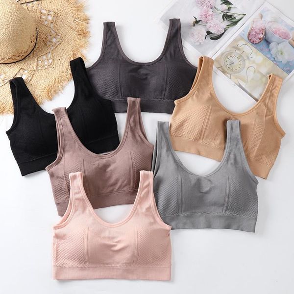 

yoga outfit sports bra women seamless padded fitness running gym bralette underwear push up sport for cup a b