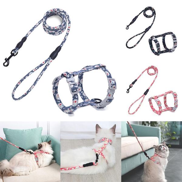 

cat collar harness leash adjustable nylon traction kitten halter gato cats products pet belt japanese style collars & leads