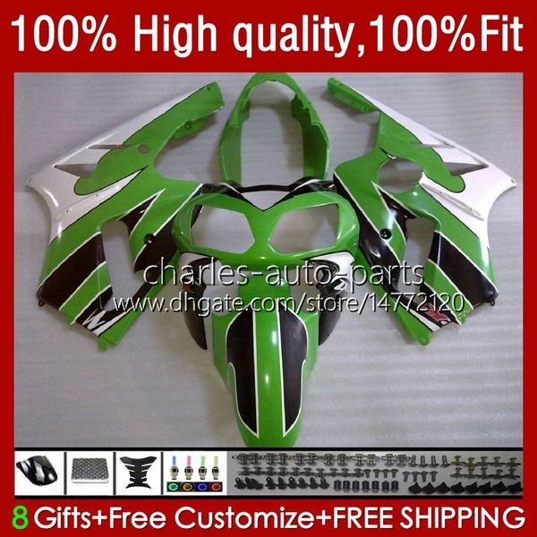 Einspritzkörper für KAWASAKI NINJA ZX1200 ZX 12R 1200CC 1200 CC 02 03 04 05 06 3No.53 ZX 12 R ZX1200C ZX12R 02-06 ZX-12R 2002 2003 2004 2005 2006 OEM-Verkleidungsset grün schwarz