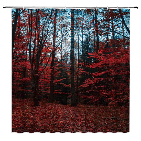 

fall forest shower curtain autumn tree red leaf early morning woodland outdoor park season natural landscape fabric bath