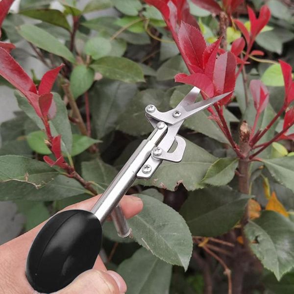 

planters & pots fruit picking shears flower gardening pruning branch scissors