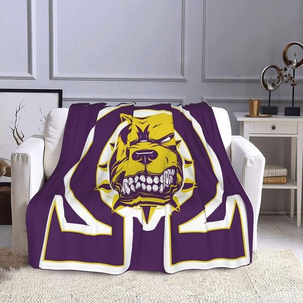 

blankets stylish omega psi phi blanket polyester fiber super soft warm sofa air conditioning 80 "x 60"