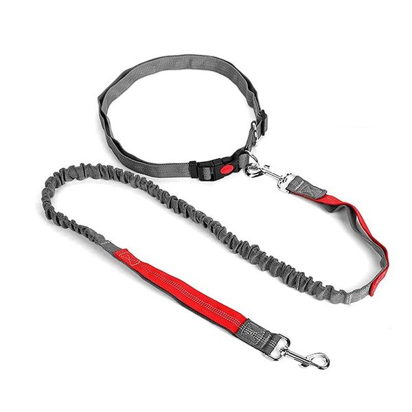 

dog collars & leashes hands leash, retractable running elastic bungee belt,jogging lead with waist belt