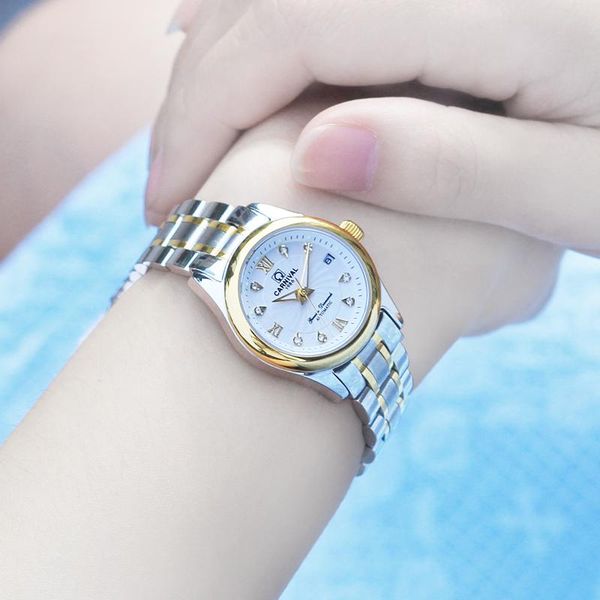 

wristwatches carnival luxury automatic watch fashion women mechanical watches waterproof ladies wristwatch clock stainless steel kol saati, Slivery;brown
