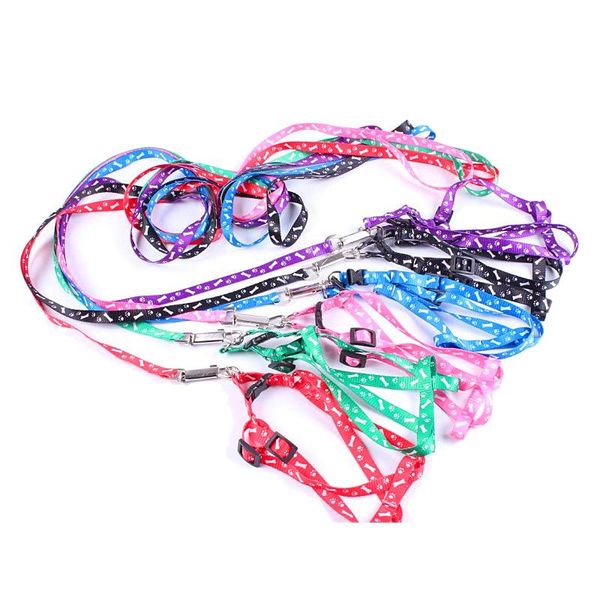

dog apparel pet puppy cat kitty nylon harness leash lead embroidery
