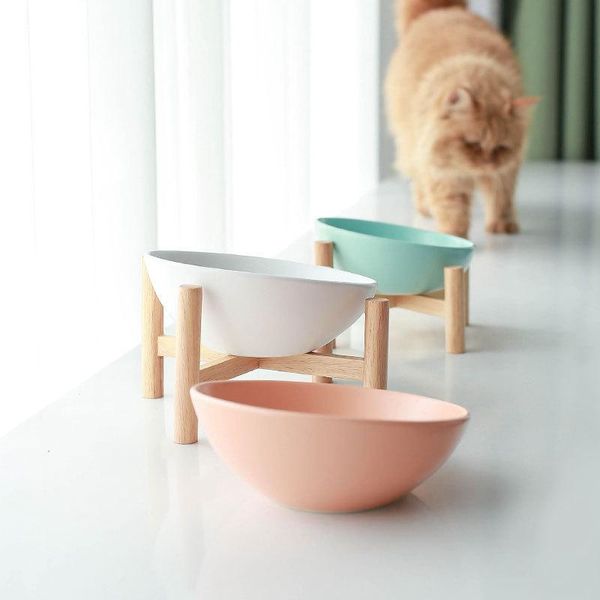 

cat drinking bowl ceramic dog protective cervical oblique mouth bowls & feeders