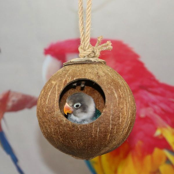 

bird cages parrot nest cage natural coconut shell house feeder parakeet birds squirrel hamster toys pet breed dhl wholesale