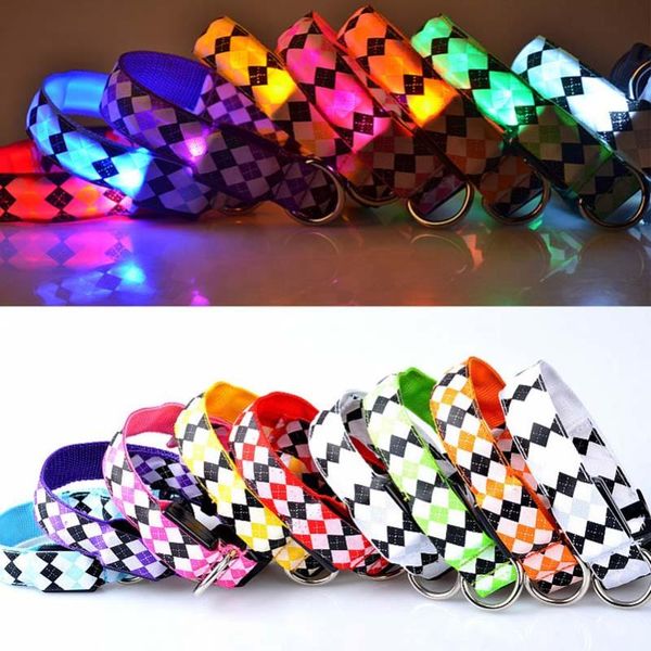 

pet dog products colorful led bulb illuminate collars goods & leashes