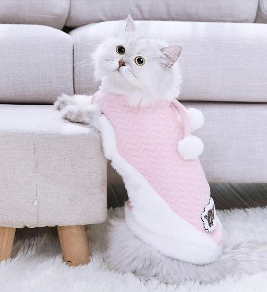 

cat clothes costumes