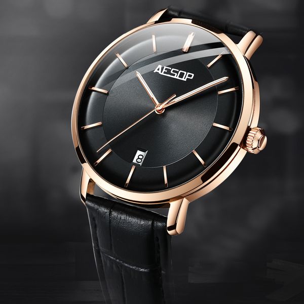 

aesop men mechanical brand luxury automatic watch japan moving business watches man clock rustless steel 2021, Slivery;brown