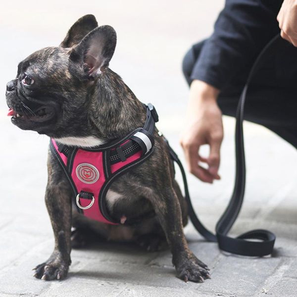 

dog collars & leashes pet adjustable harness large walk out vest for medium chest strap pets accessories