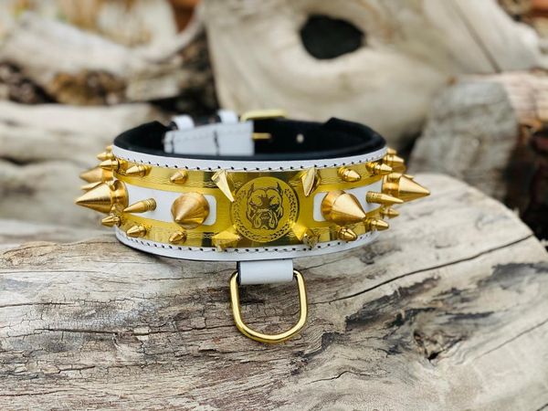 

dog collars & leashes gold white leather collar spiked for dogs, copper engareved