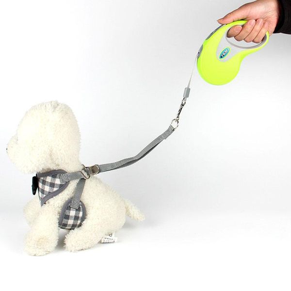 

dog collars & leashes 5m durable premium leash automatic pet leads retractable large lead extending walking traction rope belt