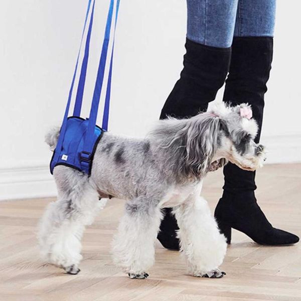 

dog collars & leashes rehabilitation exercise disabled older hind limb walking adjustable assist harness comfortable access pet supplies