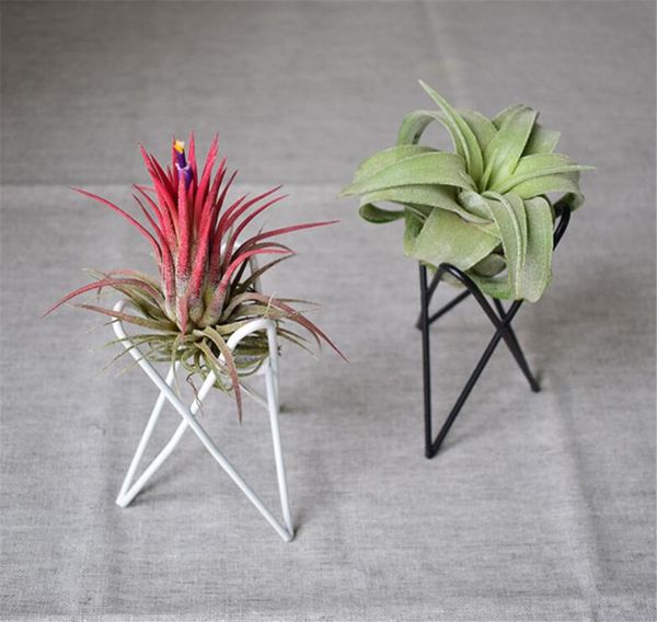 Decorações de jardim de fábrica Decorações Air Plant Holder Tillandsia Base Modern Geometric Metal Stand Airplant Display Rack Tabletop Streptophylla Mão Mão