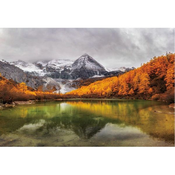 

party decoration natural scenery backdrop autumn yellow forest landscape pography background decor born wedding po booth prop