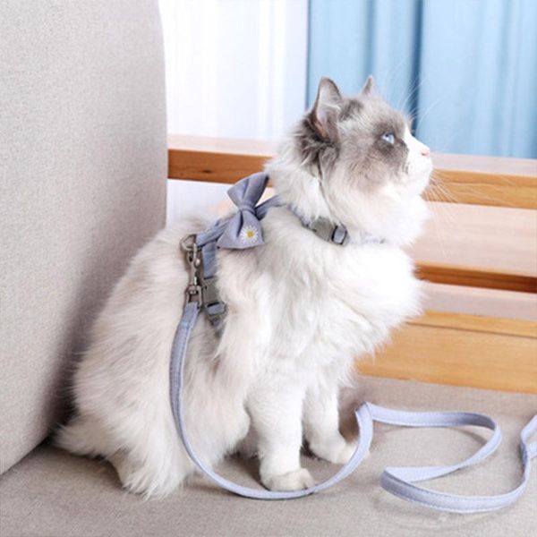 

cat collars & leads jopet pet harnesses fashion adjustable leashes solid color bowknot breast-band release collar supplies