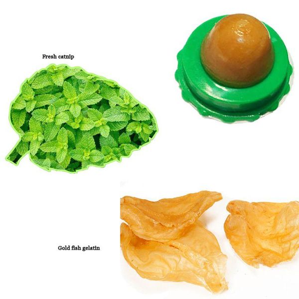 

cat sugar solid nutrition energy ball green bottom pet snack toys