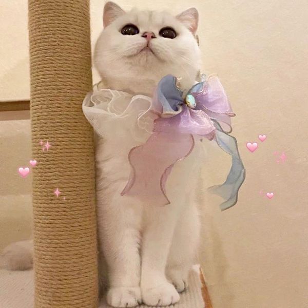 

cat bib bandana bow lace collar costumes