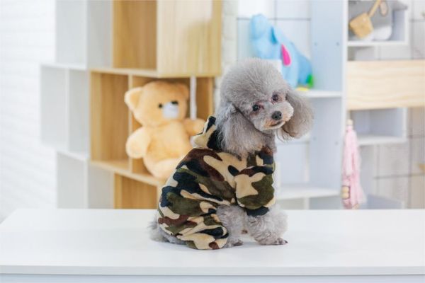 

dog apparel pet soft coat costume small dogs jacket winter warm puppy clothes chihuahua yorkie clothing pets supplies s-xxl
