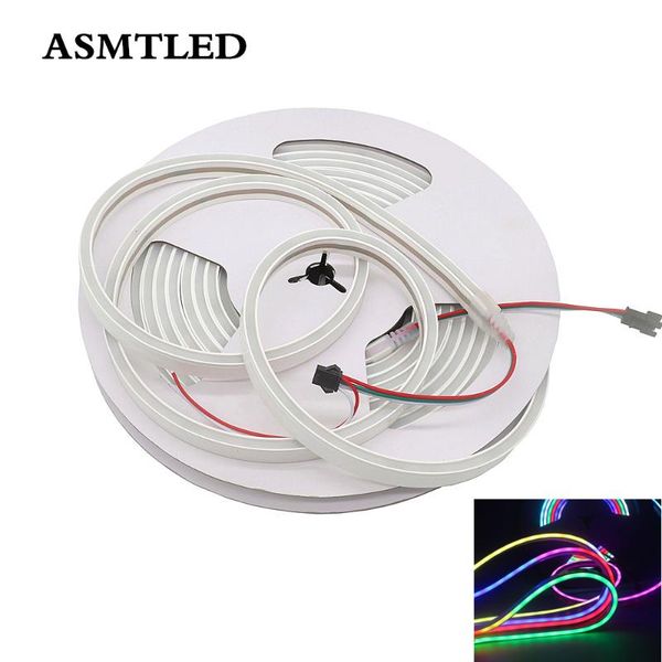 

strips 5m/lot magic dream color 12v ws2811 rgb addressable led neon pixel light rope 60leds/m waterproof ip65 tube full strip