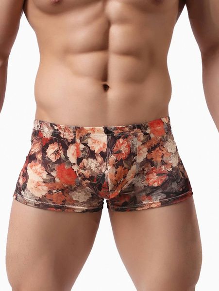 

men floral print boxer brief n70j#, Black;brown