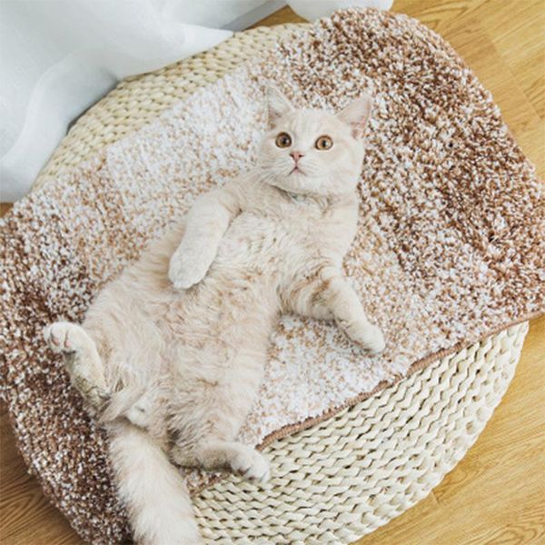 

cat beds & furniture dogs and cats pet winter warm bed mat uper soft great ultra crate washable pad floor plush sleeping cushion