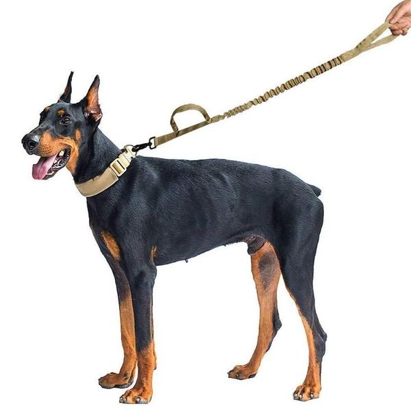 

dog leash adjustable buffer elasticity short traction rope camouflage collar for medium large dogs tactics training collars & leashes