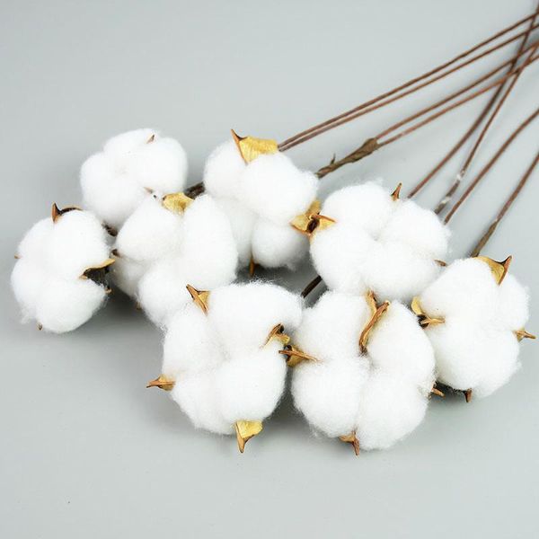 

nature dried cotton flower heads with wire stem diy table decor floral branch crafts wedding christmas decoration party supplies decorative