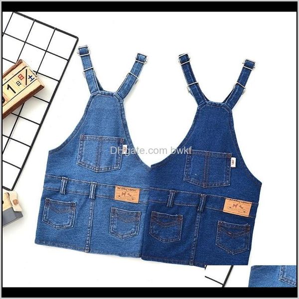 Vestuário Suprimentos Home Jardim Gota entrega 2021 Denim Sling Dress Francês Bulldog Roupas Saia Fashion Cog Fato Jean Pet Roupas para SM