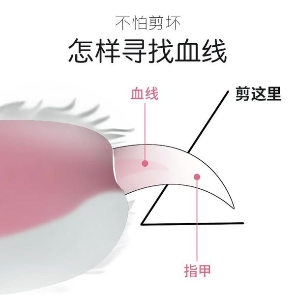 

dog grooming pet nail clipper sharpener cat products