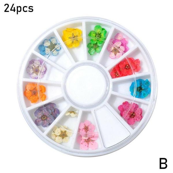 

nail art kits 12/24pcs mix dried flowers decorations jewelry natural floral leaf stickers 3d designs polish manicure accessories
