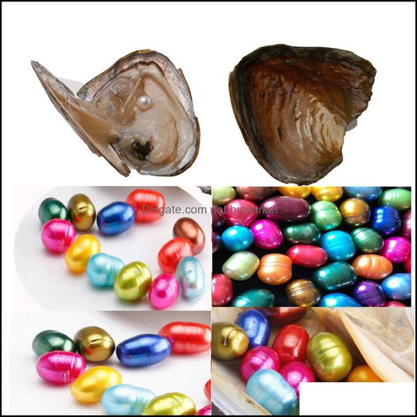 Perle perle sciolte a forma di gioiello a forma di pillola ovale guscio d'acqua dolce oyster da 8-9 mm a colori misti con imballaggio sotto vuoto consegna regalo regalo fantasia 2