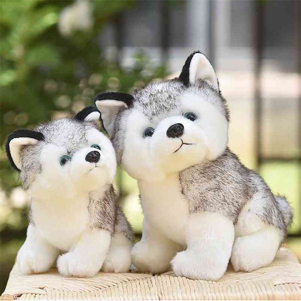 20-30cm cute husky cão pelúcia brinquedo lobo macio pelúcia animal kawaii crianças boneca macio presente criança menino wj131 210728