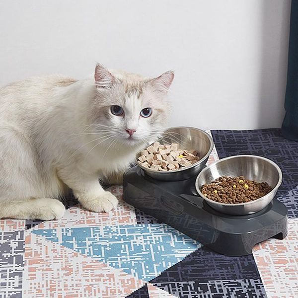 

double pet bowls with raised stand feeding eco-friendly cat drinking and stainless steel plastic & feeders