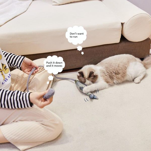 

cat toys chew durable cartoon patterns pet funny stick simulation jumping fish toy modern fashionable practical cool