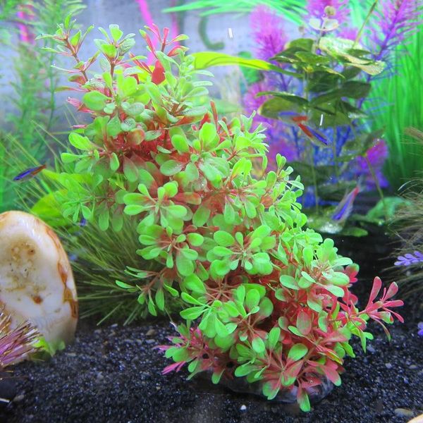 

fish tank aquarium decoration green plant artificial plastic flower door curved cave hiding house water grass adornment decorations