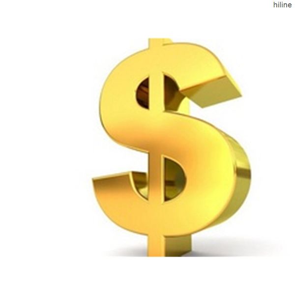 

2021 ups shiipping and dhl shiiipping usd for vip clients special order pay link