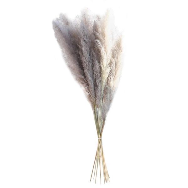 

decorative flowers & wreaths 80cm natural real dried pampas grass decor elegant large fluffy reed bouquet home decoration wedding venue layo