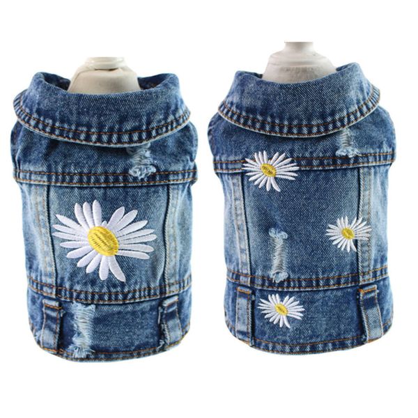 

pet clothes in spring and summer