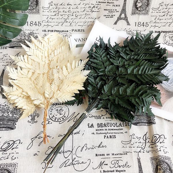 

10pcs natural dried immortal eternal flower leaf fern leaves bridal bouquet accessories wedding room home decor dropshipping