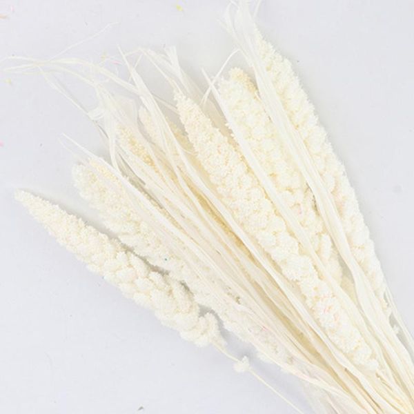 

decorative flowers & wreaths 10 pcs natural dried fresh flower bundle preserved millet diy wedding party decoration home dry
