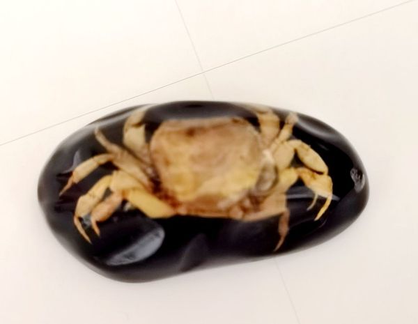 

12 pcs real crab insect big size fashion black color keychain, Slivery;golden