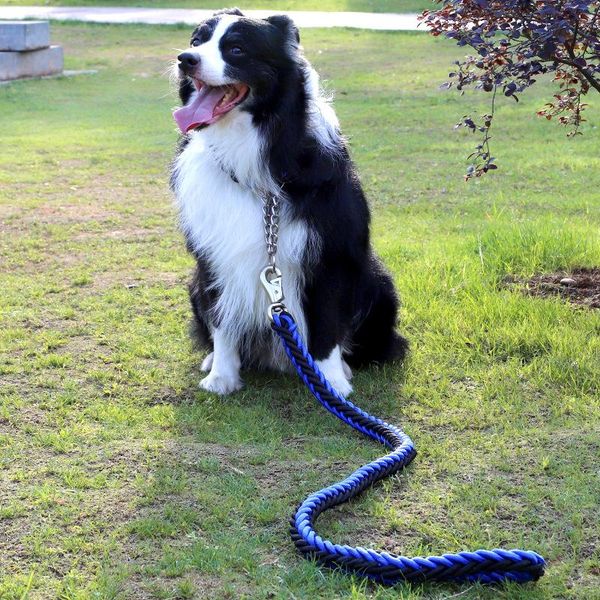 

dog collars & leashes double strand rope large metal chain buckle national color pet traction collar set for big dogs 1.15m-1.35m len