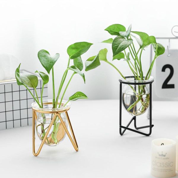 

vases creative hydroponics transparent plants holder flower vase deskdecoration pots home decor crafts fairy garden gifts