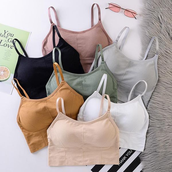 

arrival seamless sports bra breathable yoga shockproof padded crop for women fitness running workout outfit