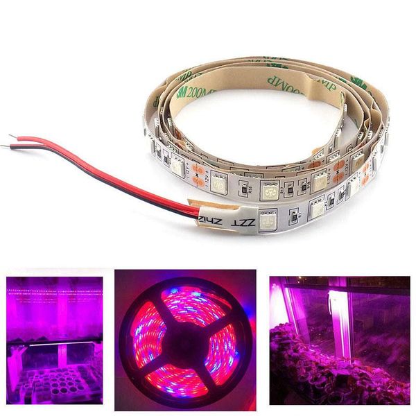

grow lights 1m 2m 3m led plant strip light chip lamp waterproof dc 12v for vegetable flower hydro indoor greenhouse growbox tentr1