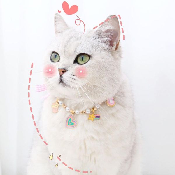 

cat collars & leads princess pearl pet necklace accessories for puppies dogs cats birthday party wedding chihuahua rabbits kitten