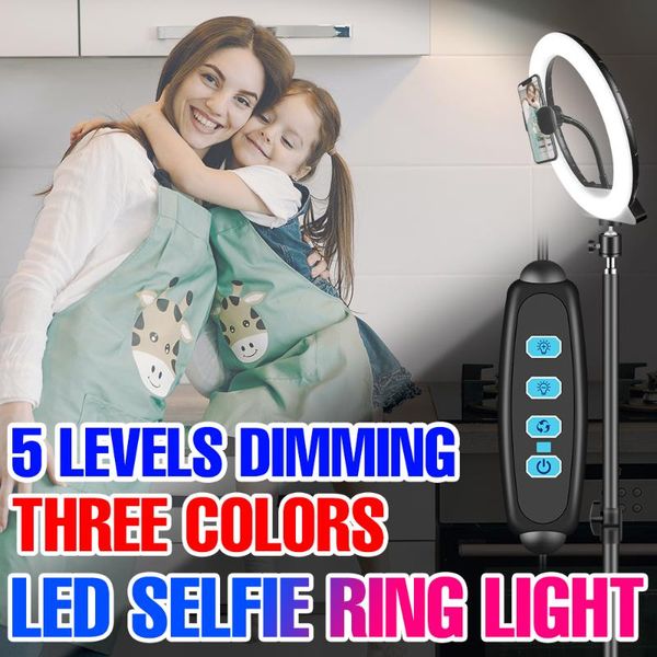 

vanity lights led selfie ring light usb dimmable ringlight with stand and phone holder round fill lamp pography 5v video live